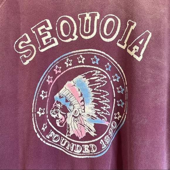 Daydreamer Sequoia Oversized Varsity Sweatshirt - Picture 3 of 6